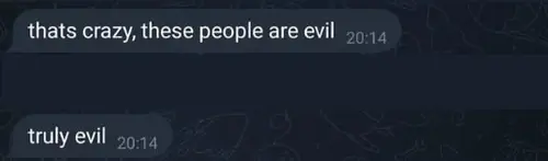 Chat screenshot where someone says these people are evil and truly evil.