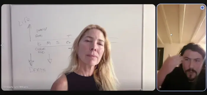 Video call screenshot showing Kimberly Lynn Williams on a call with another participant.
